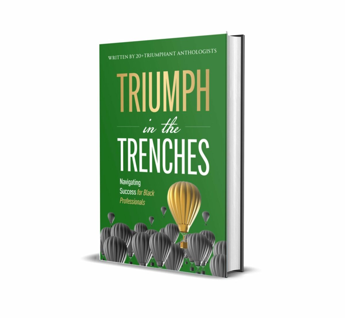 Triumph in the Trenches CoWritten by Marvell Adams Jr